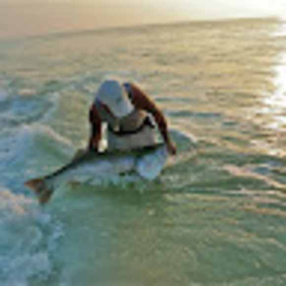 Meet your Posher, John mark - Picture 1 of 1